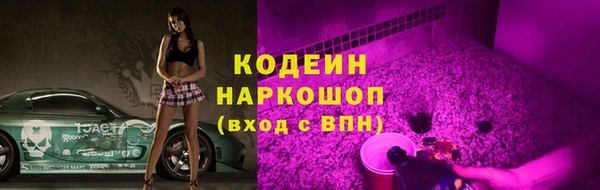 молекула духа Арсеньев