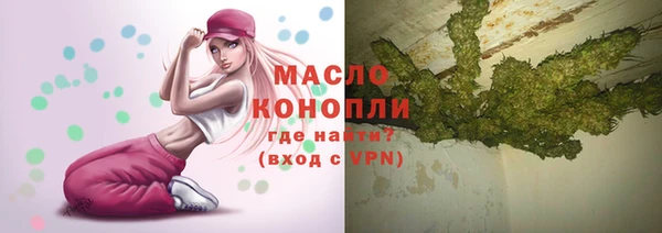 молекула духа Арсеньев