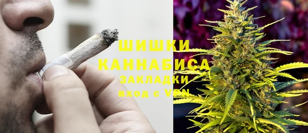 молекула духа Арсеньев