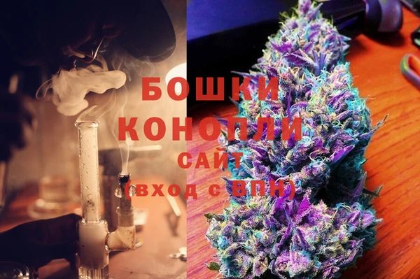 молекула духа Арсеньев